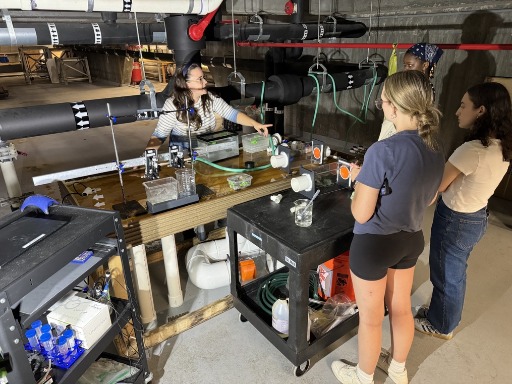 Four people gather around a laboratory flow system in a utility or research facility. One person stands behind a workbench, pointing at experimental equipment while explaining something to the others. The setup includes clear tanks, tubing, measuring containers, sensors, and water-handling apparatus arranged on tables and carts. Large insulated pipes run overhead, and laboratory supplies are stored on nearby shelving. The group appears to be participating in a hands-on demonstration or training session rela
